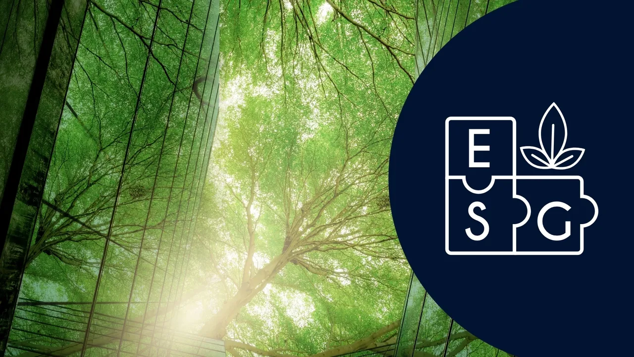 Foundations of Sustainability and ESG