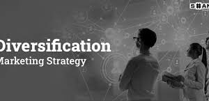 Diversification of Digital Marketing Strategies